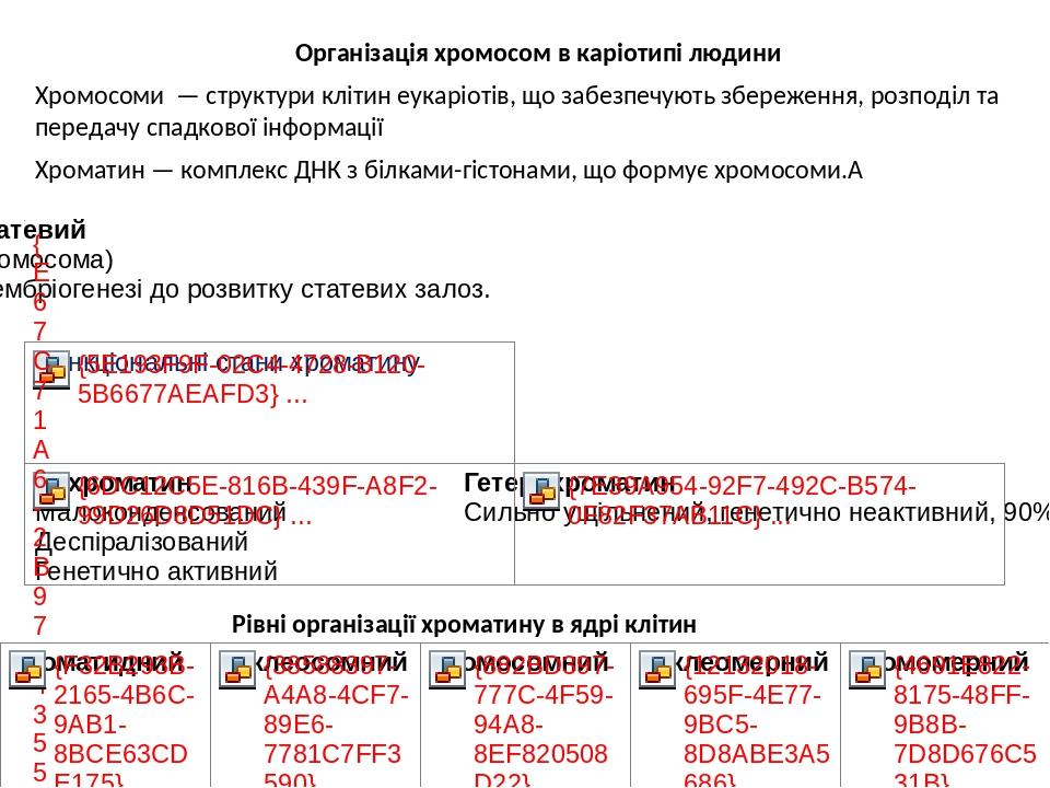 Організація хромосом в каріотипі людини Хромосоми — структури клітин еукаріотів, що забезпечують збереження, розподіл та передачу спадкової інформа...