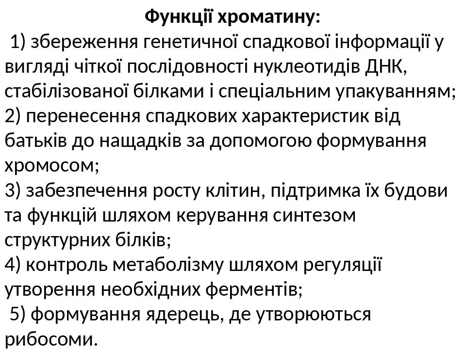 Функції хроматину: 1) збереження генетичної спадкової інформації у вигляді чіткої послідовності нуклеотидів ДНК, стабілізованої білками і спеціальн...