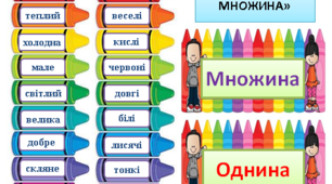 Гра "Однина чи множина"