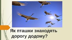 Тиждень "Весна". Тема "Як пташки знаходять дорогу додому?"