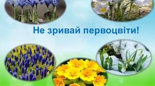 Конспект уроку: "Перші весняні квіти. Охорона первоцвітів України".