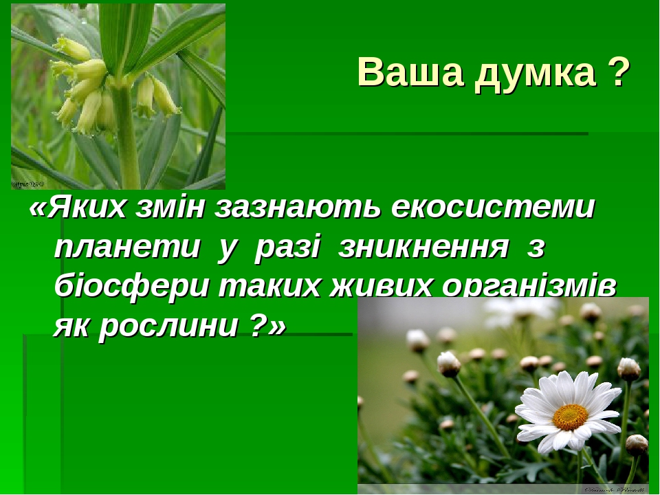 Ваша думка ? «Яких змін зазнають екосистеми планети у разі зникнення з біосфери таких живих організмів як рослини ?»