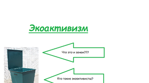 Экоактивизм в Украине: начать с себя, чтобы спасти планету?