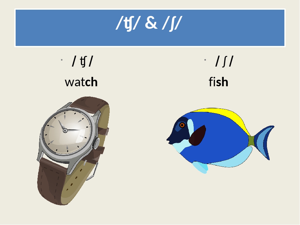 Презентація “Consonant digraphs: ch and sh”