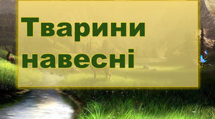 Звірі та птахи навесні. Тематичні розмальовки. ЯДС  1 клас.