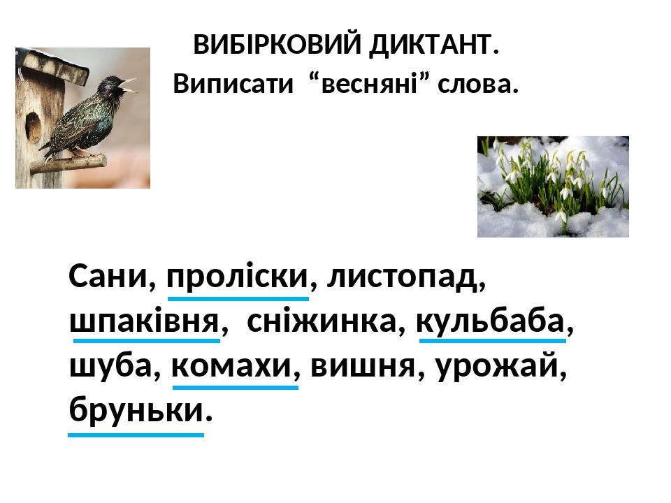 ВИБІРКОВИЙ ДИКТАНТ. Виписати “весняні” слова. Сани, проліски, листопад, шпаківня, сніжинка, кульбаба, шуба, комахи, вишня, урожай, бруньки.