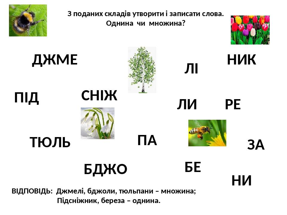 З поданих складів утворити і записати слова. Однина чи множина? ДЖМЕ ЛІ ПІД БДЖО СНІЖ НИК ЛИ ТЮЛЬ ПА БЕ РЕ ЗА ВІДПОВІДЬ: Джмелі, бджоли, тюльпани –...