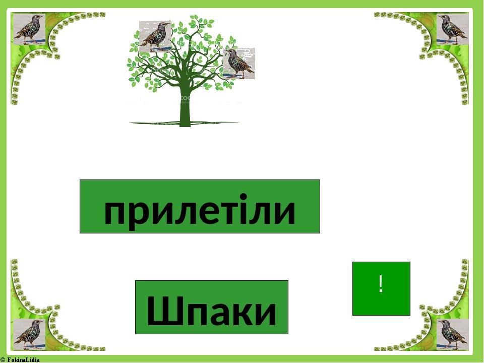 Шпаки прилетіли ! © FokinaLidia
