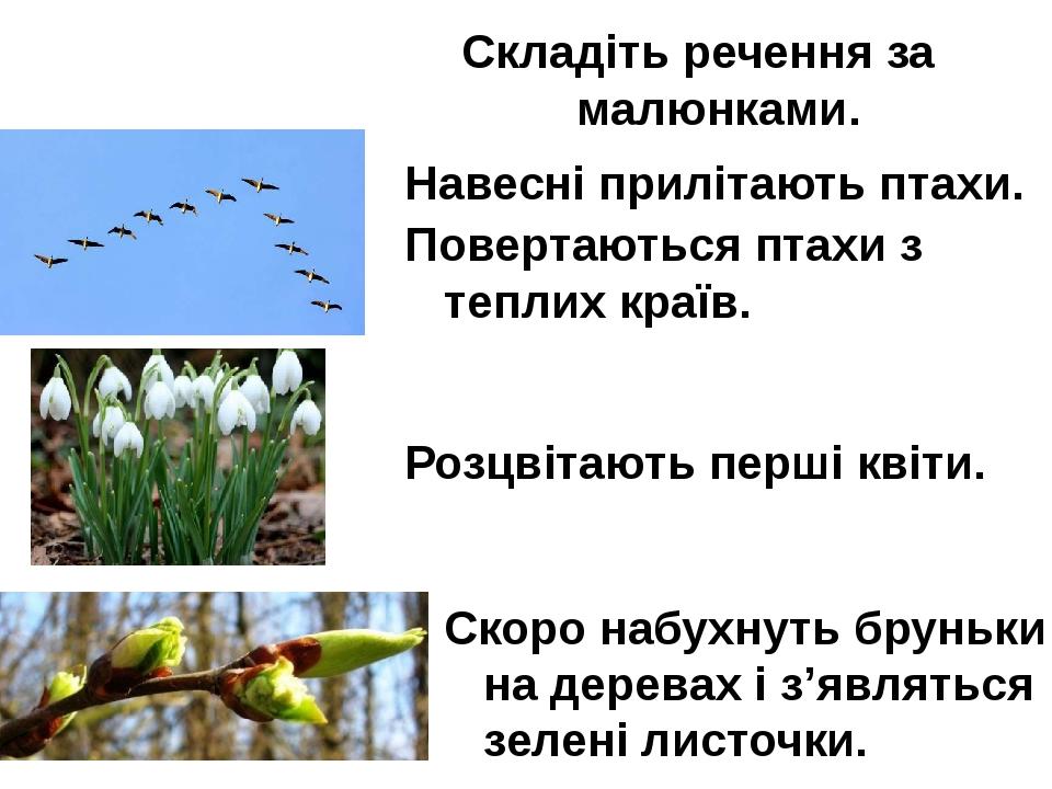 Навесні прилітають птахи. Повертаються птахи з теплих країв. Розцвітають перші квіти. Скоро набухнуть бруньки на деревах і з’являться зелені листоч...