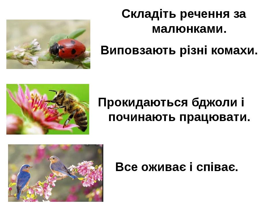 Виповзають різні комахи. Прокидаються бджоли і починають працювати. Все оживає і співає. Складіть речення за малюнками.