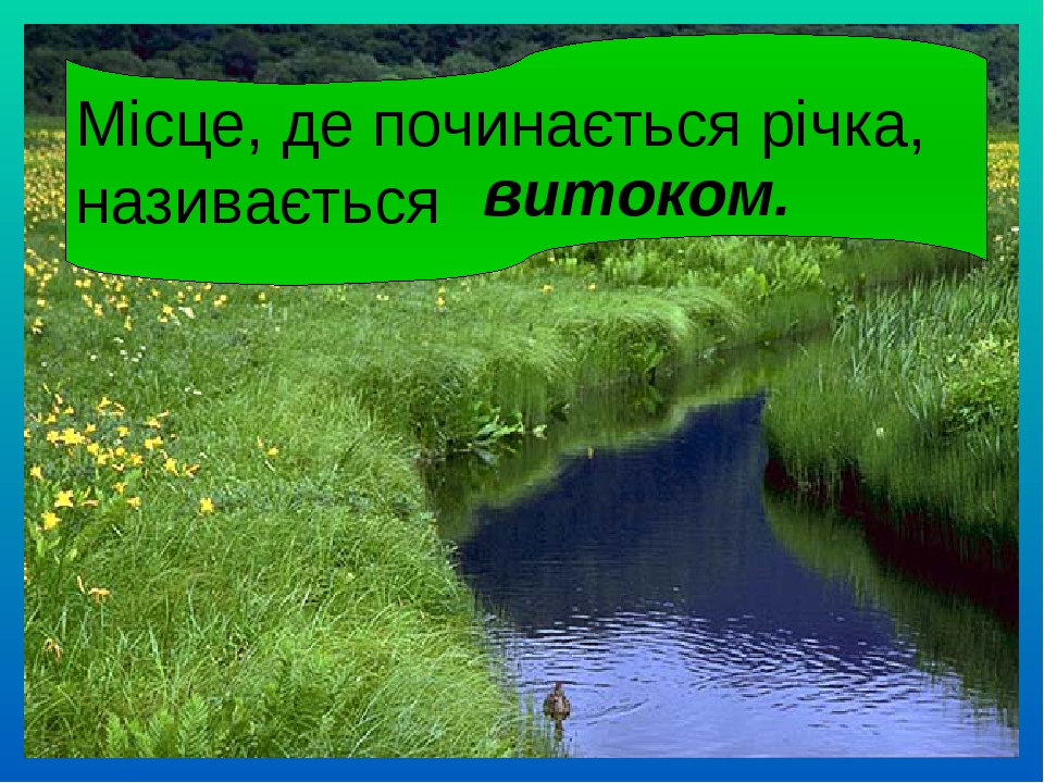 Презентація "Водойми України. Будова річки. Гірські та рівнинні річки"
