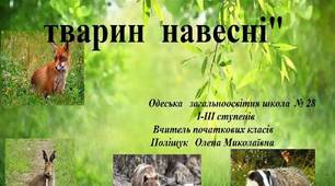 "Зміни в житті поведінки тварин навесні". На початку весни прокидаються від зимового сну ведмеді, борсуки, їжаки. Змінюється колір шерсті в зайців і білок. Густа, пухнаста шерсть навесні у звірів стає рідшою.На початку весни у звірів народжуються малята.