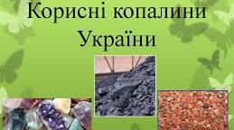  Корисні копалини України
