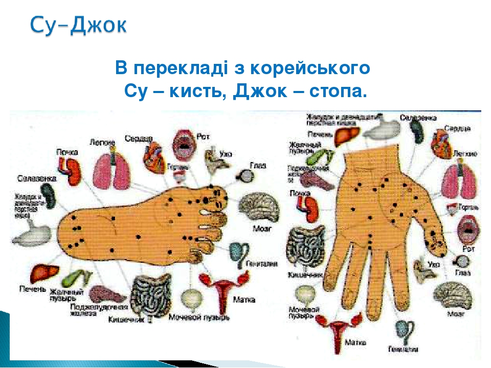 Су-Джок терапія в закладі дошкільної освіти