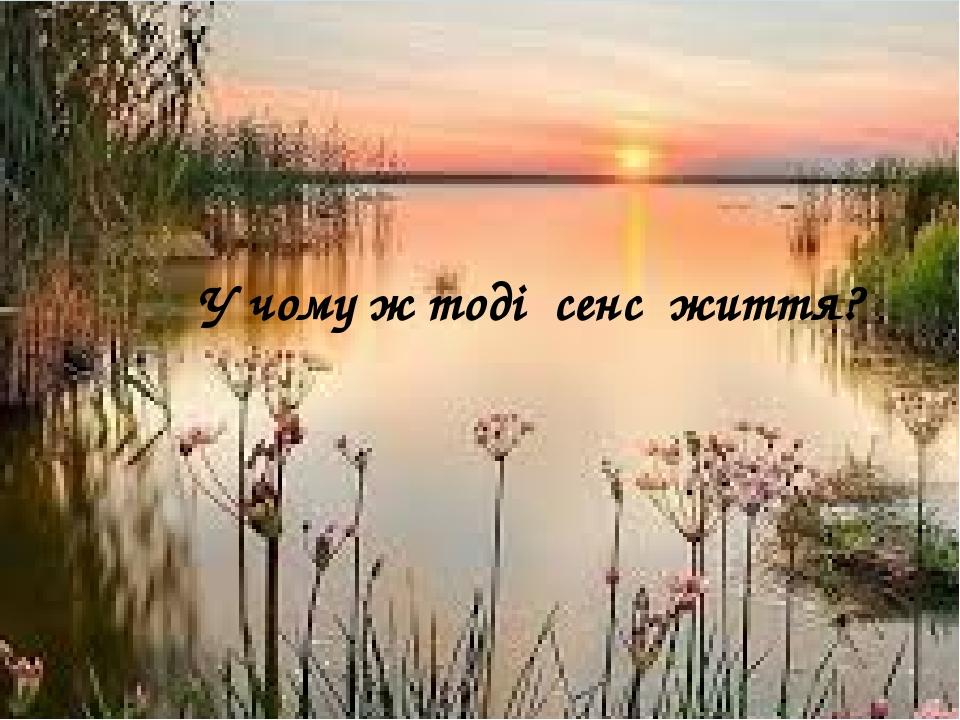 У чому ж тоді сенс життя?