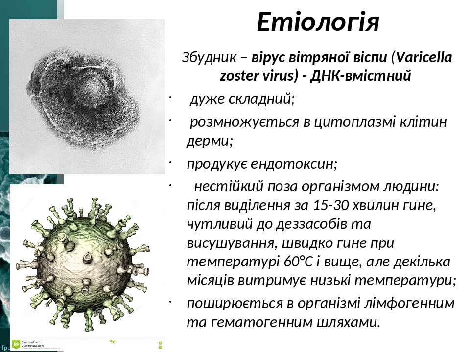 Вакцина варицелла