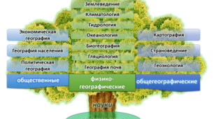 "Структура системи географічних наук"