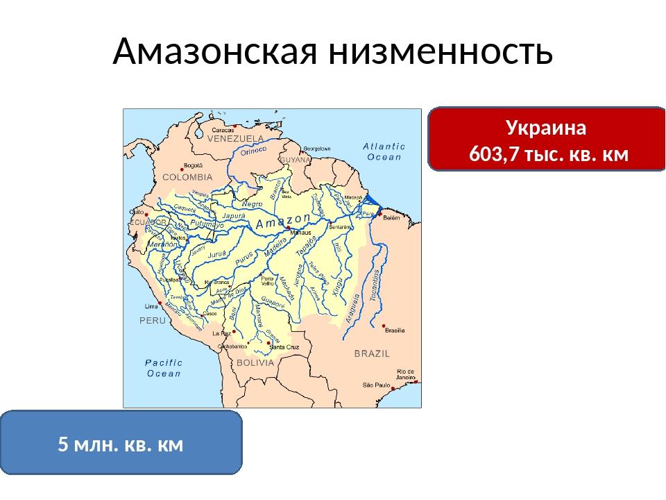 Как расположена амазонская низменность относительно других объектов гор рек морей океанов по плану