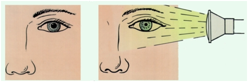 0100asoe-5907-497x164.png