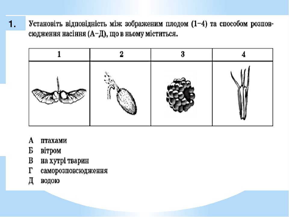 Адаптация робота цивик 5д