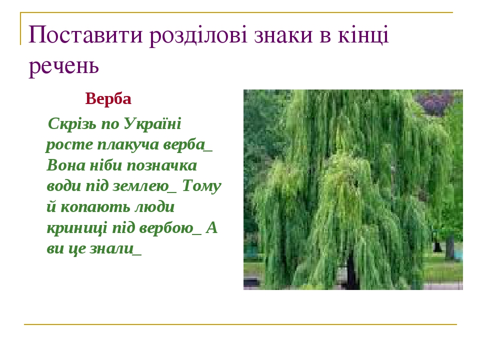 Поставити розділові знаки в кінці речень Верба Скрізь по Україні росте плакуча верба_ Вона ніби позначка води під землею_ Тому й копають люди крини...