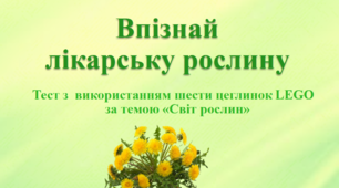 Презентація "Впізнай лікарську рослину" (тест з  LEGO) Тиждень 28. Світ рослин