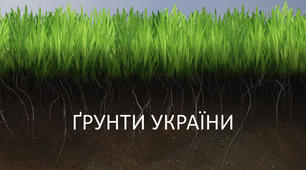 Грунти України
