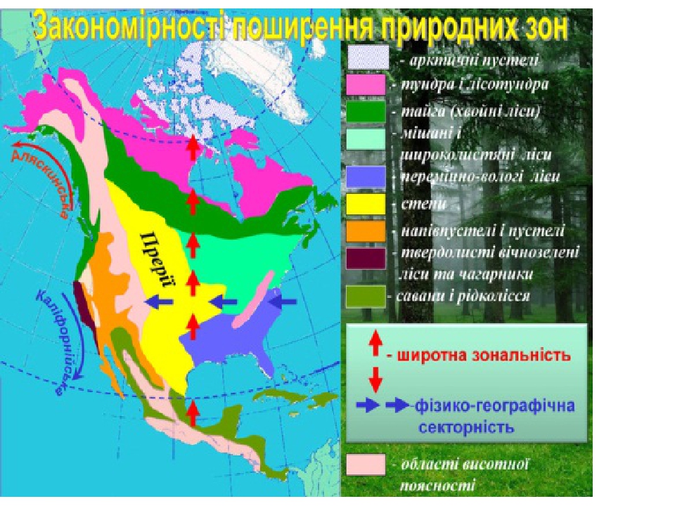 Змеи северной америки фото и названия