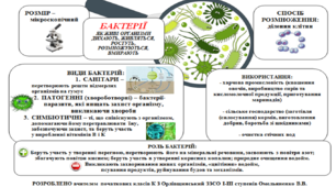 Інтелект карта з природознавства за темою "Живі організми. Бактерії." 3 клас