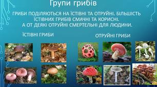 Їстівні та отруйні гриби