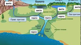 Чим схожі річки?