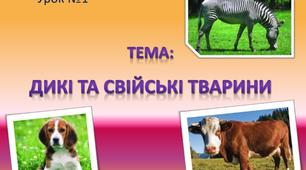 Свійські та дикі тварини
