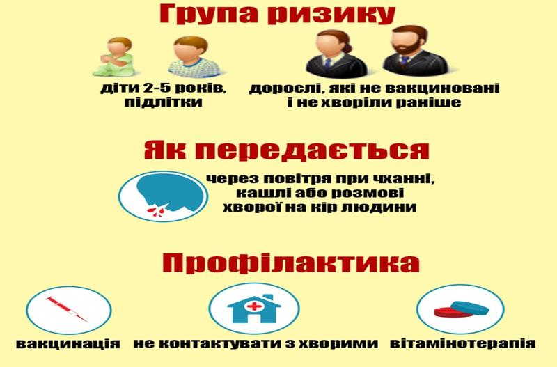 0100b09b-6442-800x527.jpeg