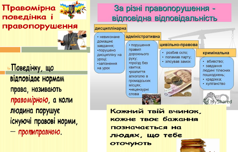 0100b0d0-9099-800x513.png