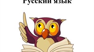  Орфограммы имен прилагательных. 6 класс