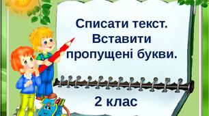 Списування текстів із пропущеними буквами. 2 клас.