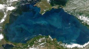 Чорне море