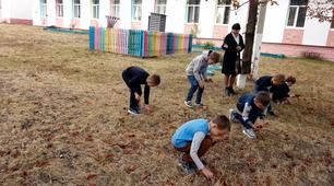Факультативного курсу  «Основи екології і природокористування».