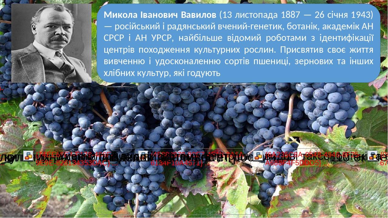 Микола Іванович Вавилов (13 листопада 1887 — 26 січня 1943) — російський і радянський вчений-генетик, ботанік, академік АН СРСР і АН УРСР, найбільш...