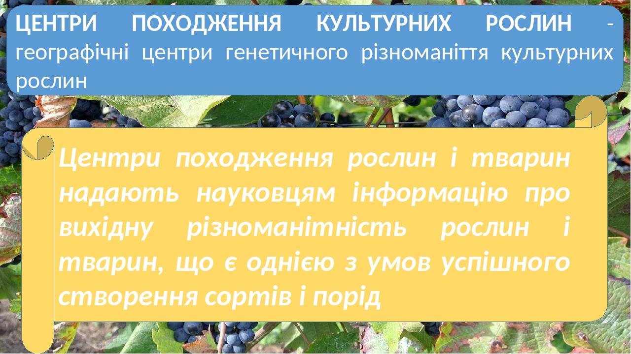 ЦЕНТРИ ПОХОДЖЕННЯ КУЛЬТУРНИХ РОСЛИН - географічні центри генетичного різноманіття культурних рослин Центри походження рослин і тварин надають науко...