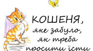 (Копія) Казка "Кошеня, яке забуло, як треба просити їсти"