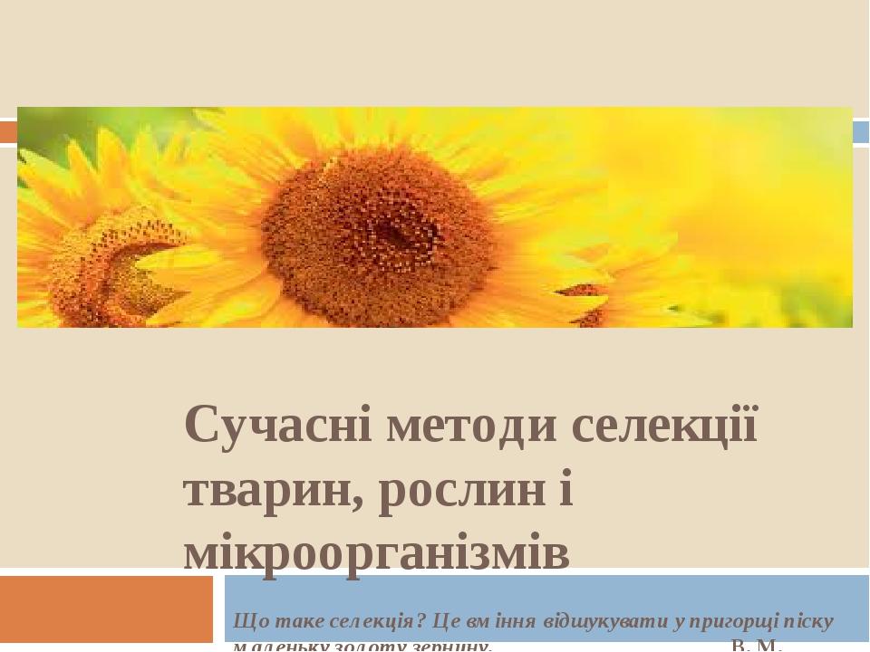 Сучасні методи селекції тварин, рослин і мікроорганізмів Що таке селекція? Це вміння відшукувати у пригорщі піску маленьку золоту зернину. В. М. Ре...