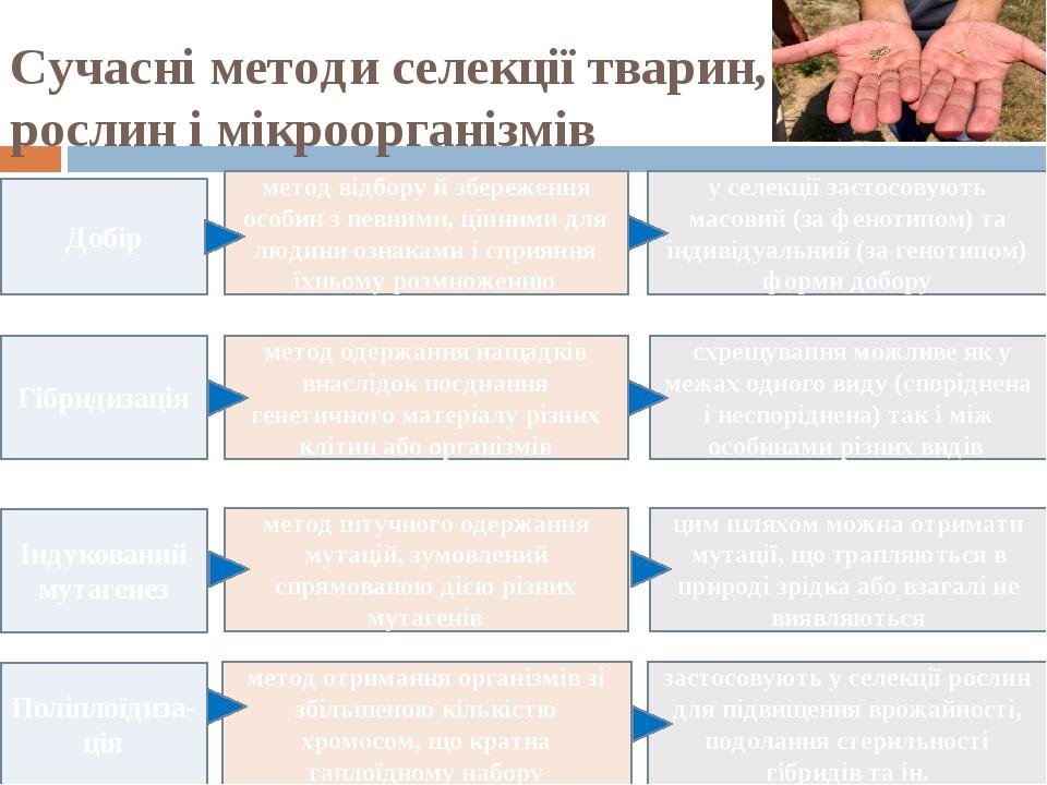 Добір метод відбору й збереження особин з певними, цінними для людини ознаками і сприяння їхньому розмноженню у селекції застосовують масовий (за ф...