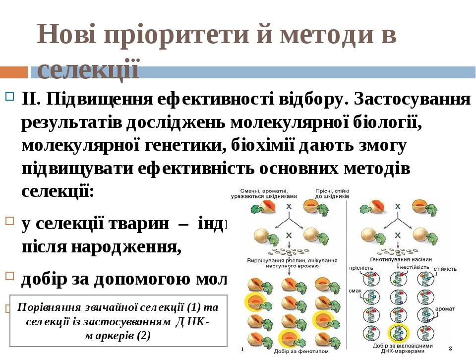 Нові пріоритети й методи в селекції II. Підвищення ефективності відбору. Застосування результатів досліджень молекулярної біології, молекулярної ге...