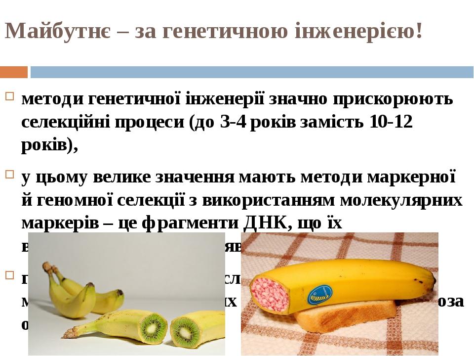 Майбутнє – за генетичною інженерією! методи генетичної інженерії значно прискорюють селекційні процеси (до 3-4 років замість 10-12 років), у цьому ...