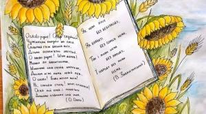 Прикметник як частина мови. Уживання прикметників у прямому і переносному значеннях. Прикметники-антоніми. Прикметники-синоніми