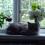Поторокіна Лариса Валеріївна