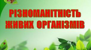 Живі організми