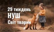 29 тиждень НУШ «Світ тварин»: скарбничка матеріалів на урок