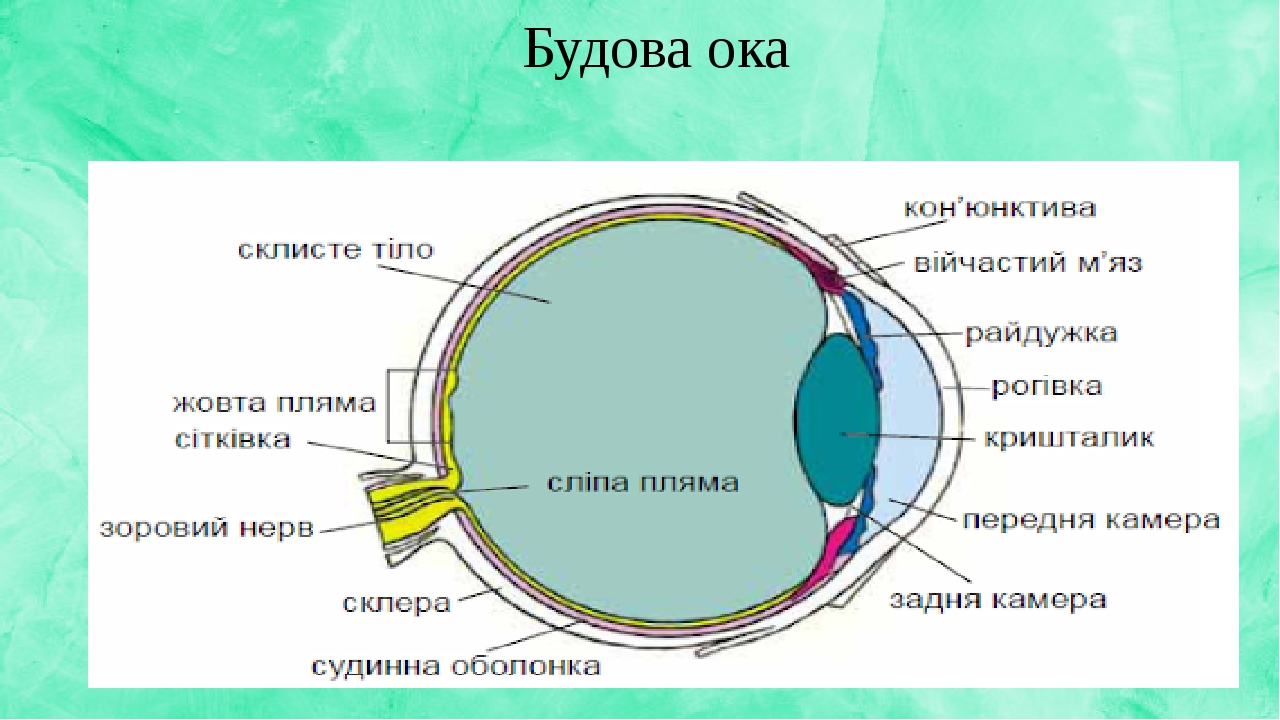 Око системы пво